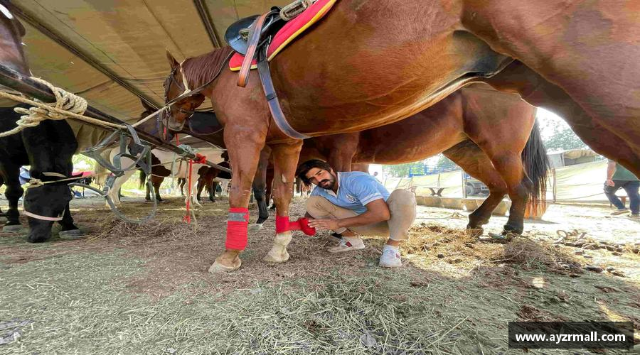 永不言败，英雄始终在路上！